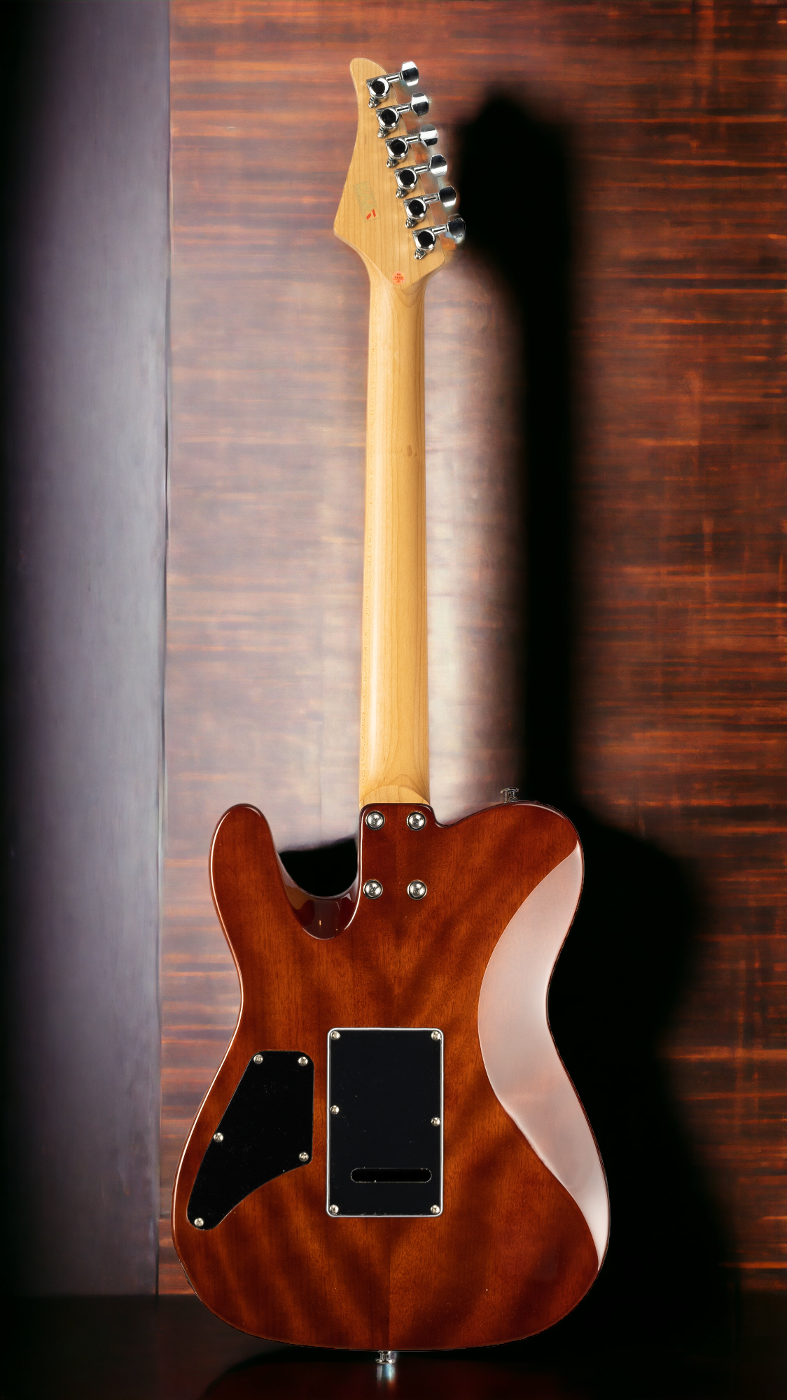 BRONCO DMX-10TL CUSTOM