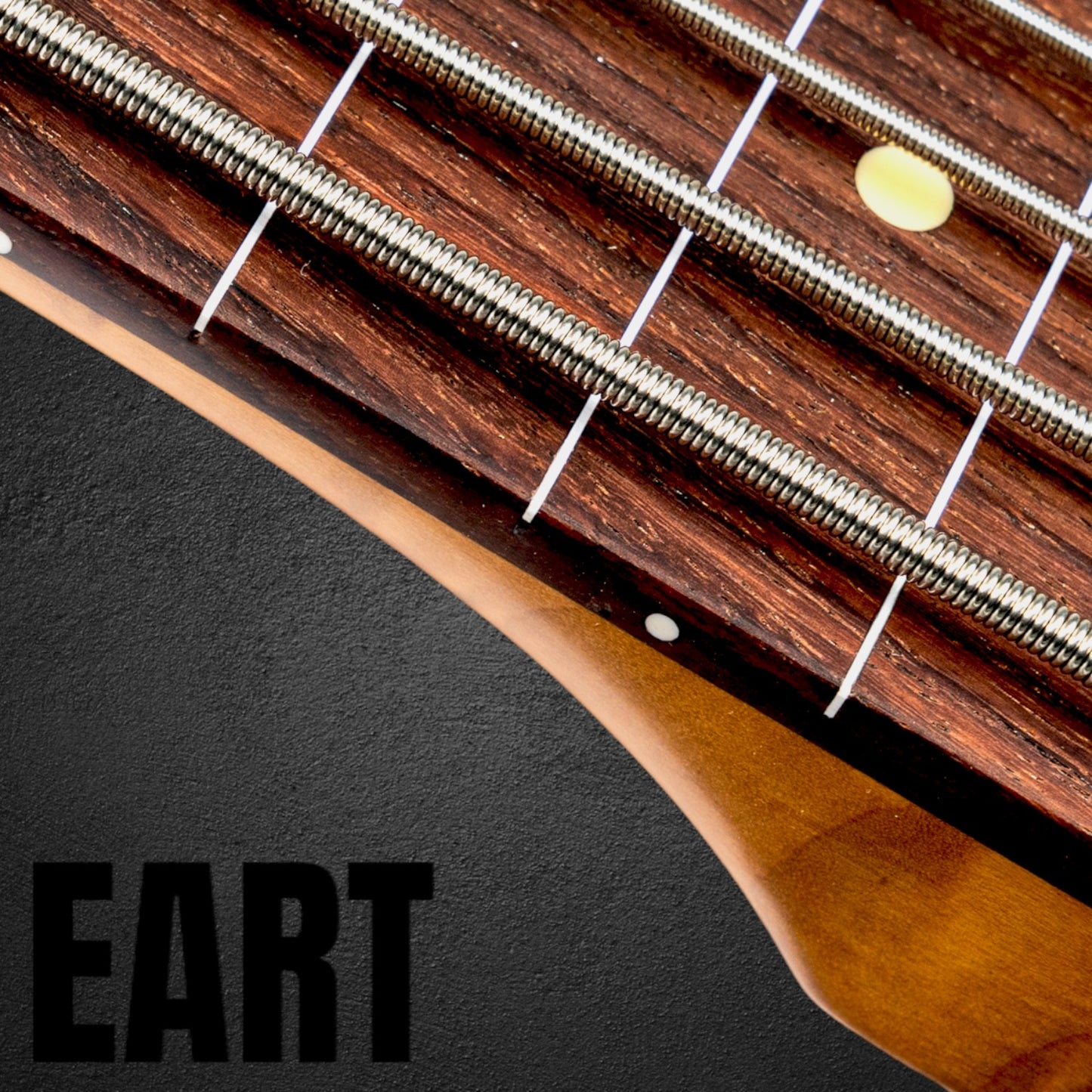 ELITE BASS ECS-JB5-ZLS CUSTOM 🆕 🔥