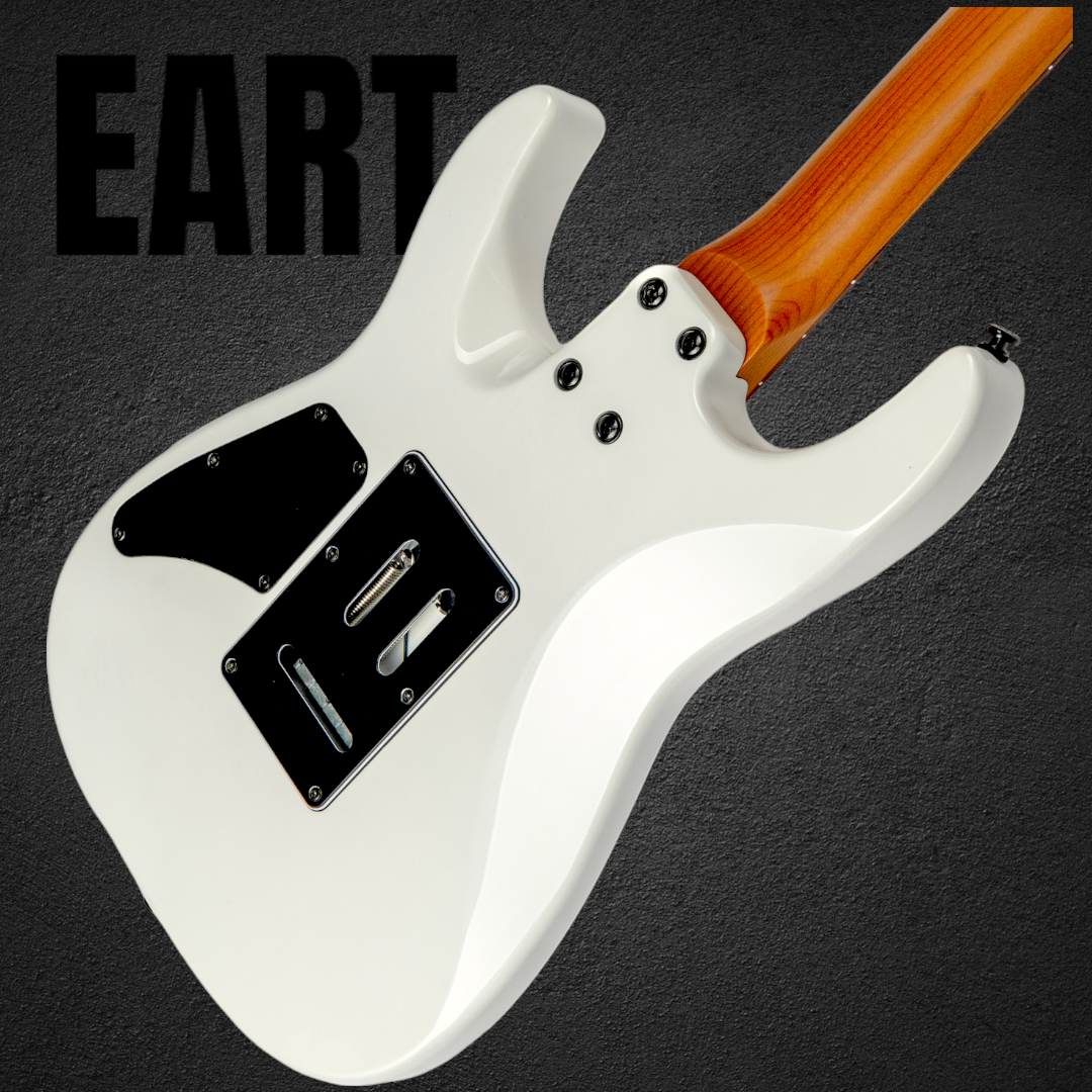 AMERICAN ECS-NK1980-ZWS SUPERSTRAT CUSTOM 🆕 🔥