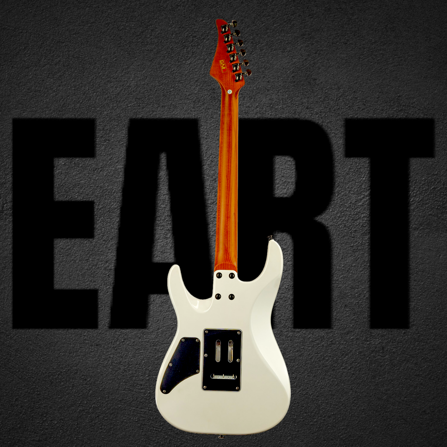 AMERICAN ECS-NK1980-ZWS SUPERSTRAT CUSTOM 🆕 🔥